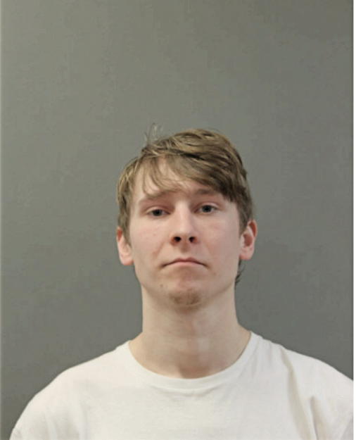 ANDREW P BUJDASZ, Cook County, Illinois