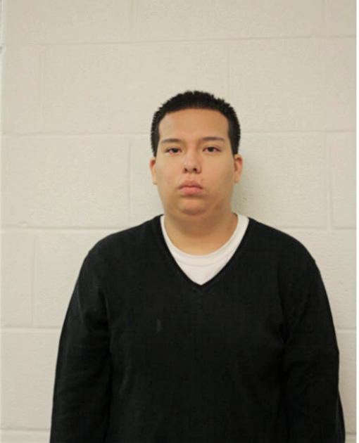 BRANDON M CARDENAS, Cook County, Illinois