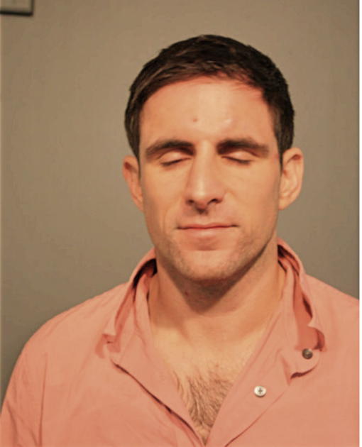 MICHAEL F CARVER, Cook County, Illinois