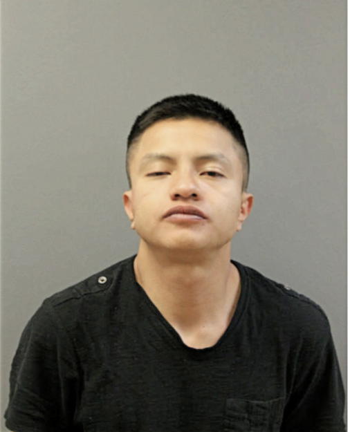 DANIEL D DIAZ, Cook County, Illinois
