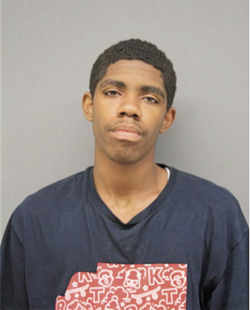 JOSHUA K FORT, Cook County, Illinois