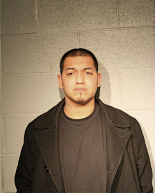 ERICK M GALVEZ, Cook County, Illinois