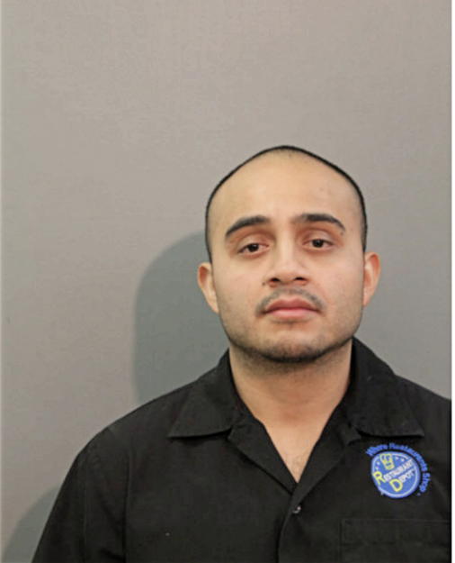 DAVID GARCIA, Cook County, Illinois