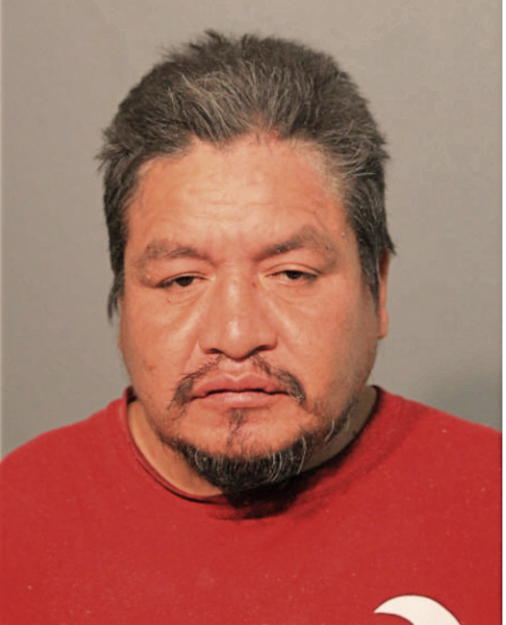 FLAVIO GEOVANNY GUACHICHULLCA MAZA, Cook County, Illinois