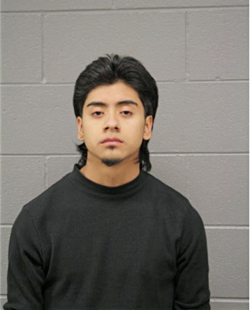 LOUIS GUADARAMA, Cook County, Illinois