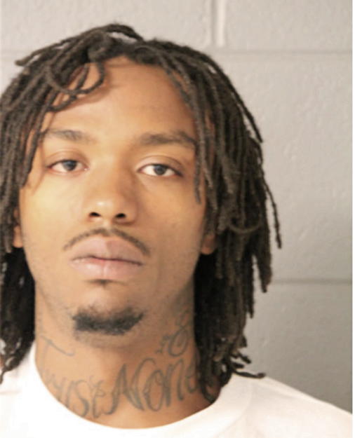 TERRENCE T HAMOND, Cook County, Illinois