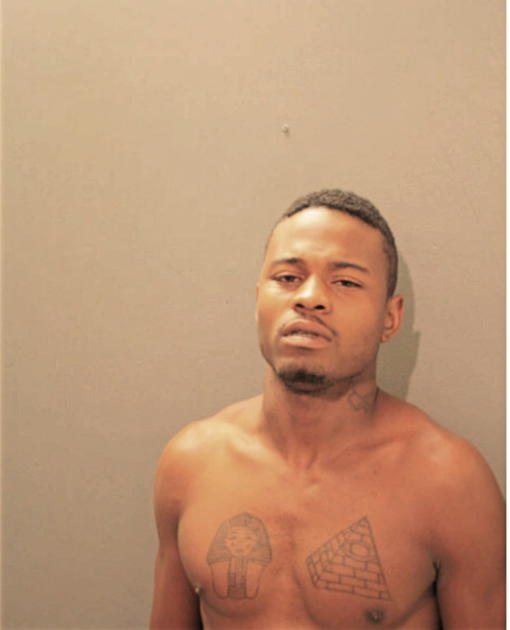 STEVE D HESTER, Cook County, Illinois