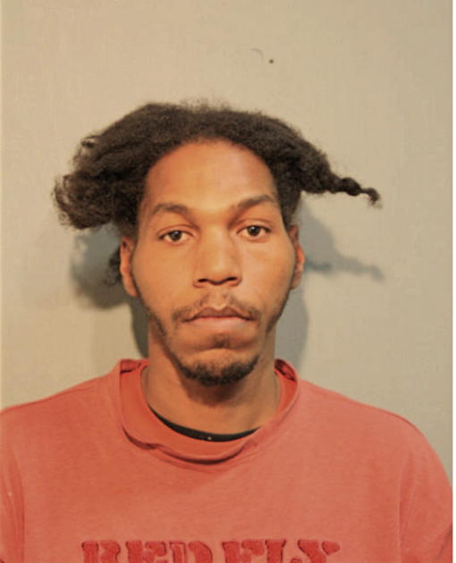 CHRISTOPHER M HINES, Cook County, Illinois