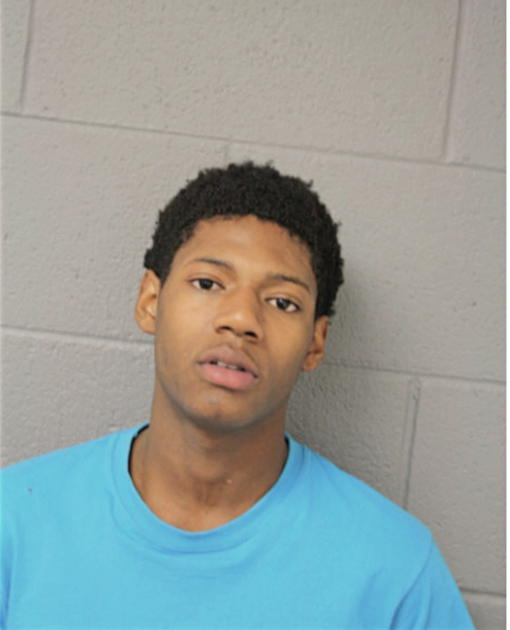 LERONN R JOHNSON, Cook County, Illinois