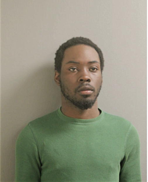 MICHAEL A JOHNSON, Cook County, Illinois