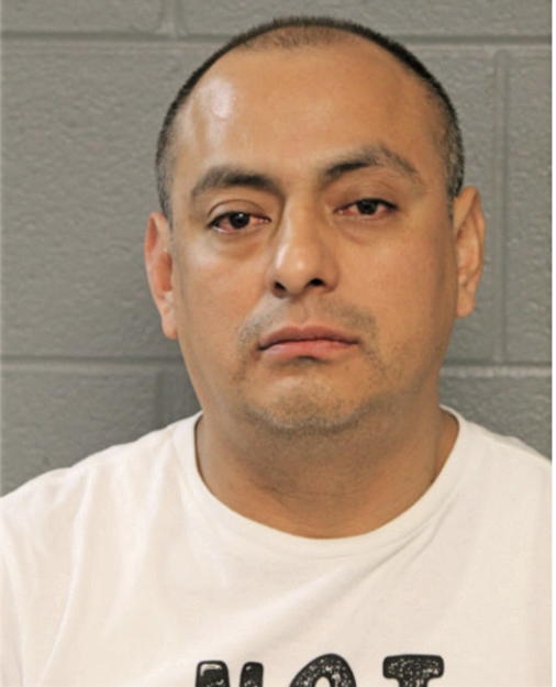 OSCAR LAGUNAS, Cook County, Illinois