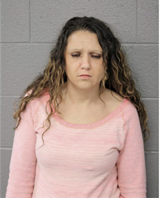 LISA J MCGUIRE, Cook County, Illinois