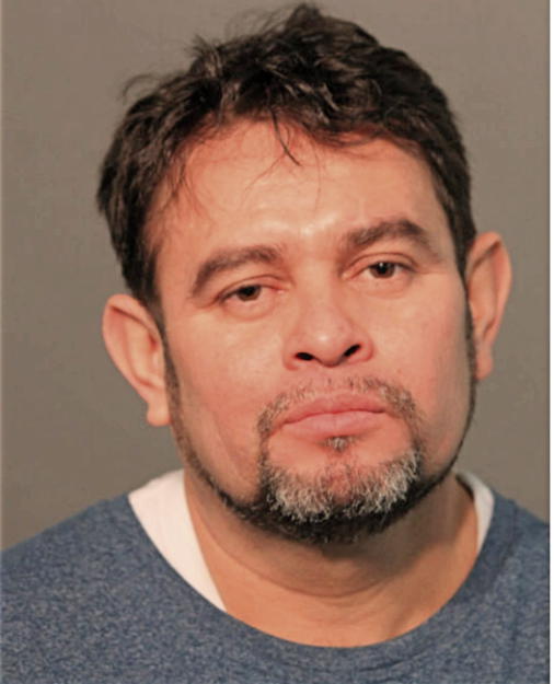 GERMAN OMAR NAVARRO-LEMUS, Cook County, Illinois