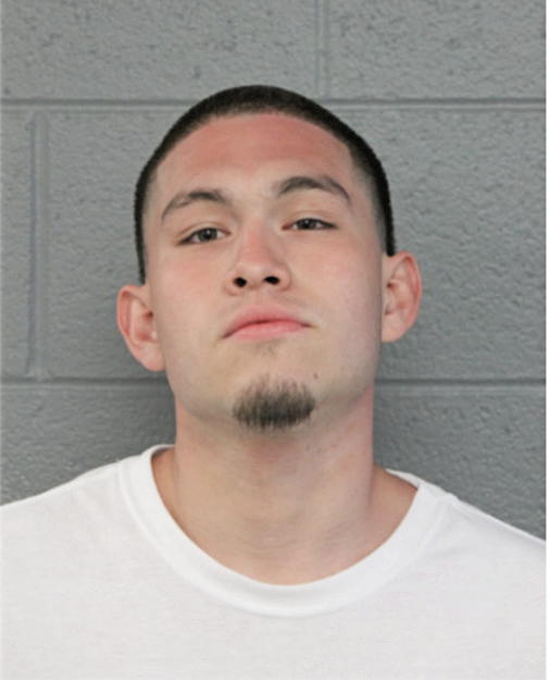 FABIAN OJEDA, Cook County, Illinois