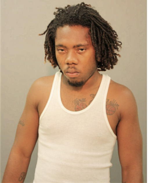 ERIC L PERRY, Cook County, Illinois