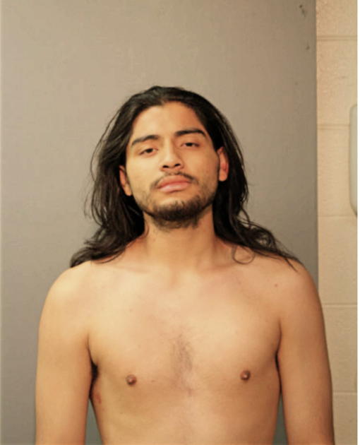 ALEX A REYES, Cook County, Illinois