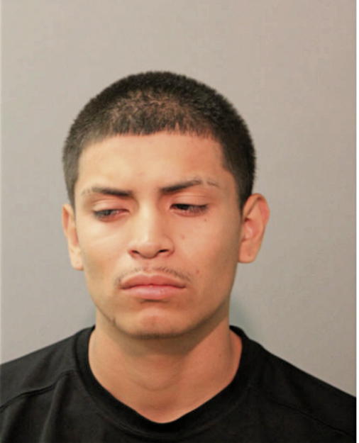 OSCAR E ROSALES, Cook County, Illinois