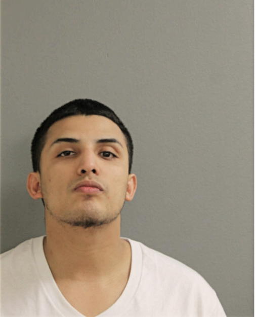 VICTOR RUIZ, Cook County, Illinois