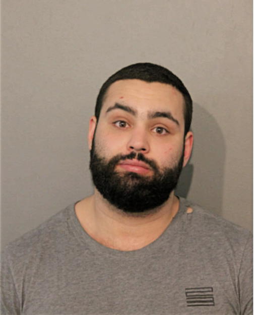 NICHOLAS J SAYEGH, Cook County, Illinois