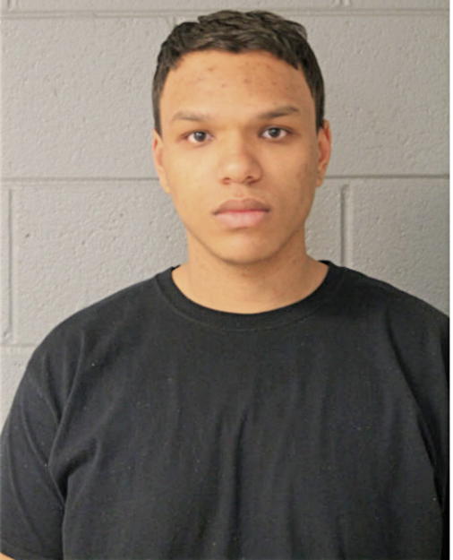 ANDREW J SHALLON, Cook County, Illinois