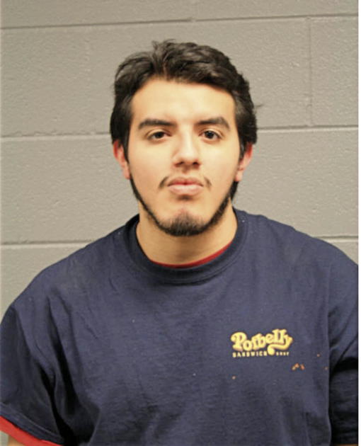 DANIEL S VELASCO, Cook County, Illinois