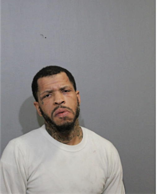 DAVID M WOODS, Cook County, Illinois
