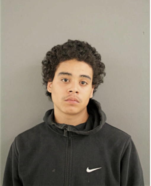 HOSEA DUSTIN WOODSON, Cook County, Illinois
