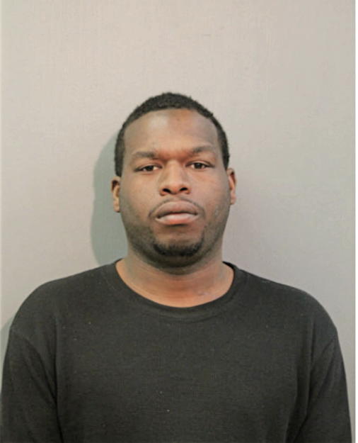 TERRENCE M BRIDGES, Cook County, Illinois