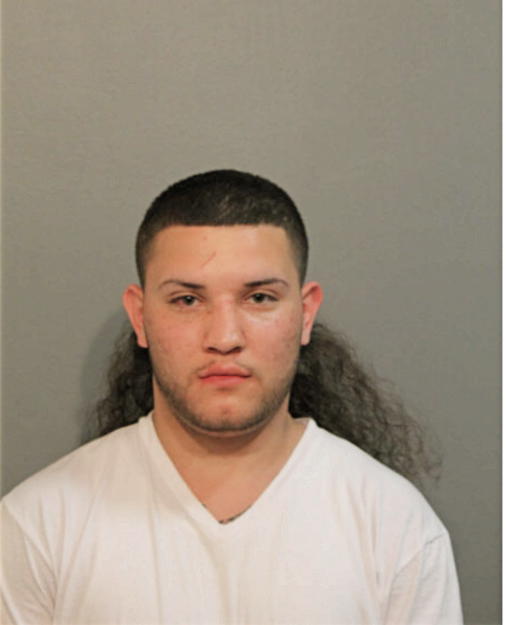 DANIEL FLORES, Cook County, Illinois