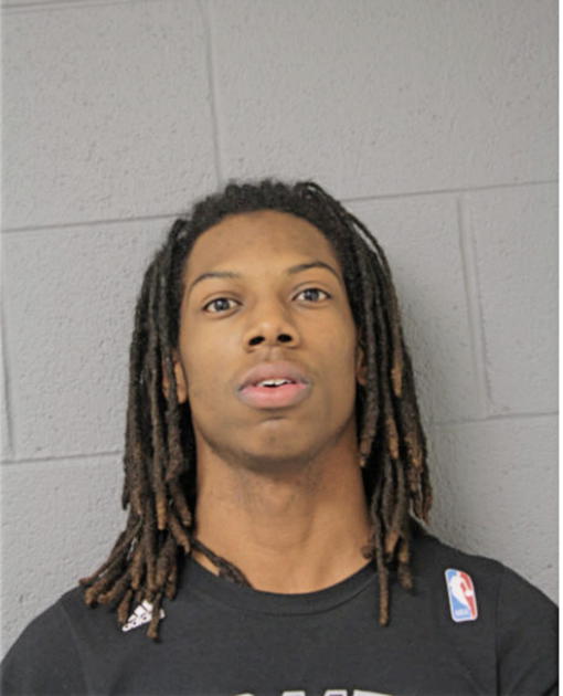BRIAN J JOHNSON, Cook County, Illinois