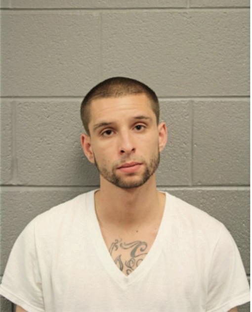 SEAN S LECHELT, Cook County, Illinois