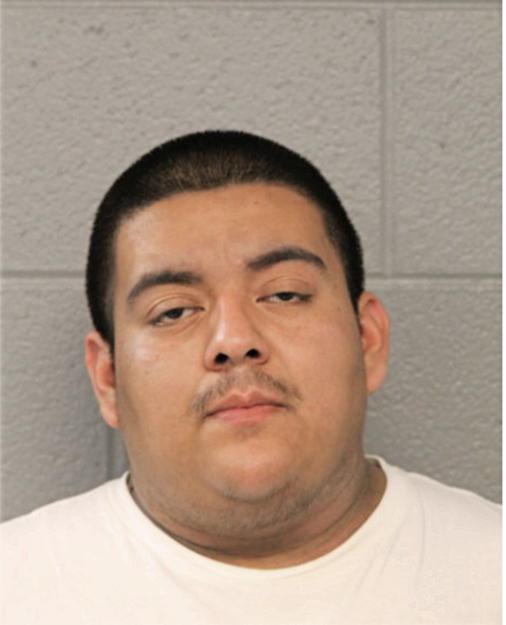 LUIS CARLOS MARIN, Cook County, Illinois