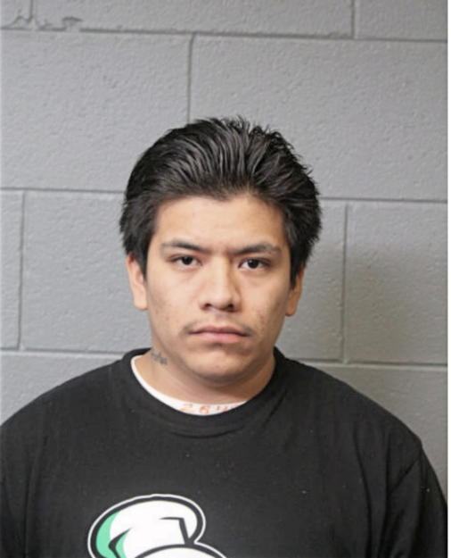 LUIS FRANCISCO MORALES SEGUNDO, Cook County, Illinois