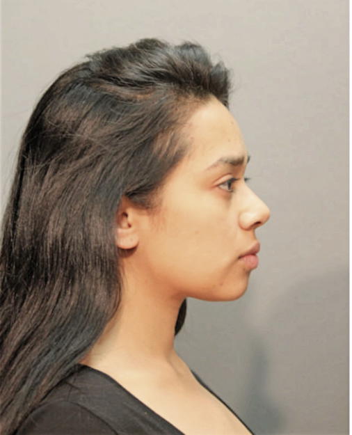YATZAIRA NAVA, Cook County, Illinois