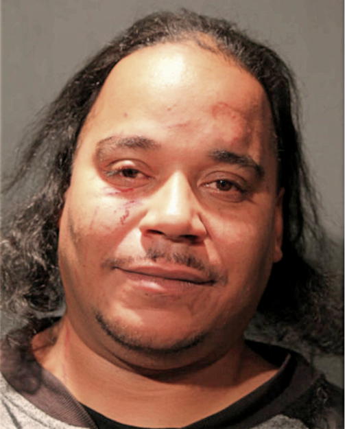 MICHAEL A NEWMAN, Cook County, Illinois