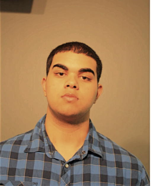 MARK C ORTIZ, Cook County, Illinois