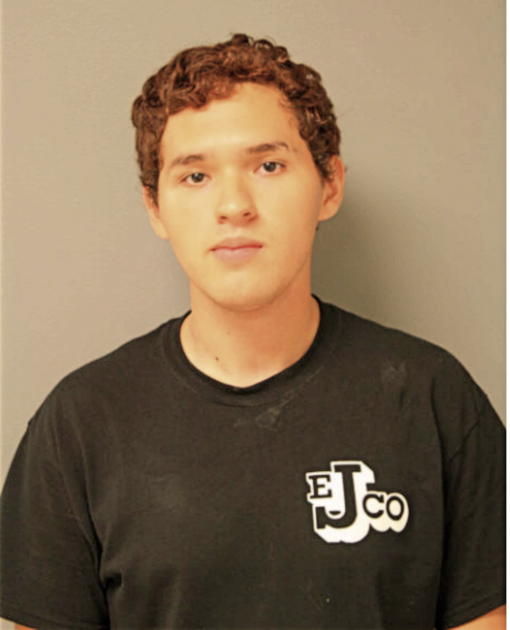 CRISTIAN A PARDO, Cook County, Illinois