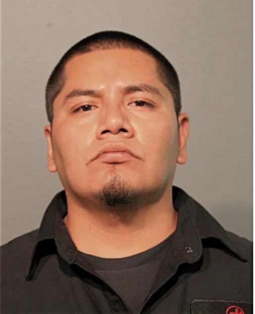 ALFONSO PATINO-GOMEZ, Cook County, Illinois