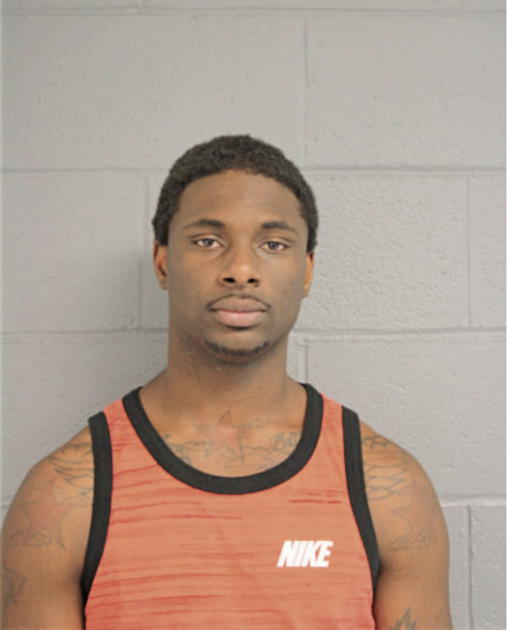 DEREK D PETERS, Cook County, Illinois