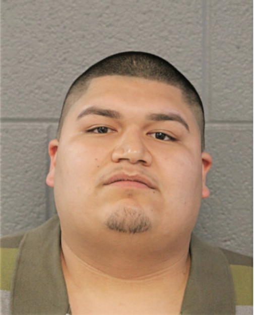 HUGO PULIDO, Cook County, Illinois