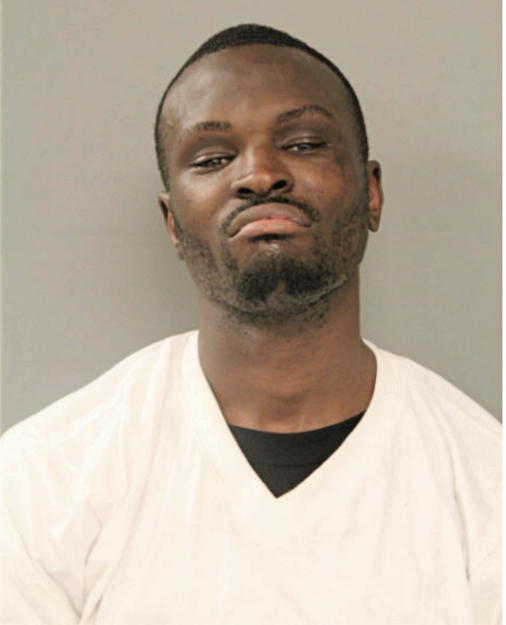 JONES L RAMON, Cook County, Illinois