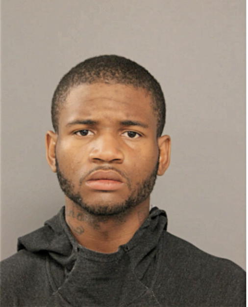 ROMEO N RICHARDS, Cook County, Illinois