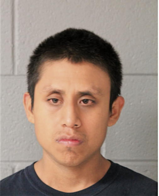 GEORGE ROA, Cook County, Illinois