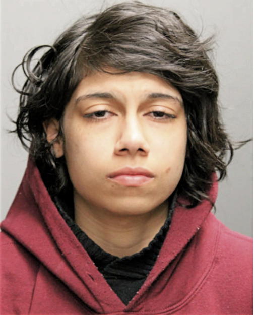 ANGELISA RUIZ, Cook County, Illinois