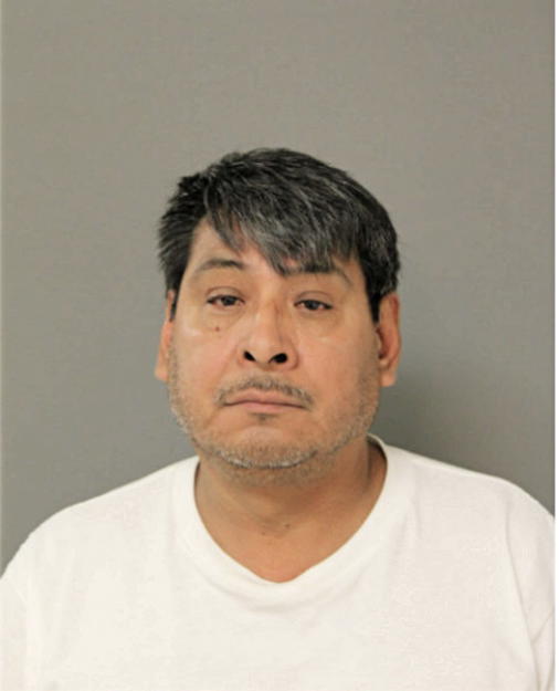 JOEL SAGAL-IBARRA, Cook County, Illinois