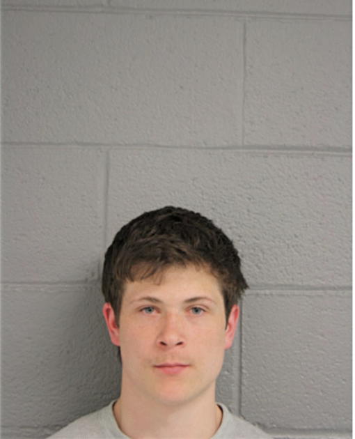 TIMOTHY J SANKOVICH, Cook County, Illinois