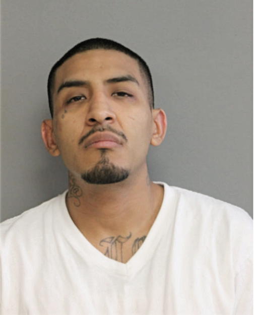 RAFAEL UGARTE, Cook County, Illinois
