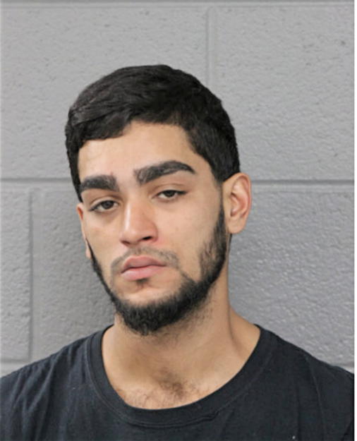 LUIS A VEGA-SAEZ, Cook County, Illinois