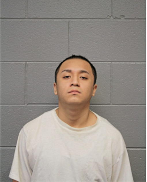 IRVING J VELA, Cook County, Illinois