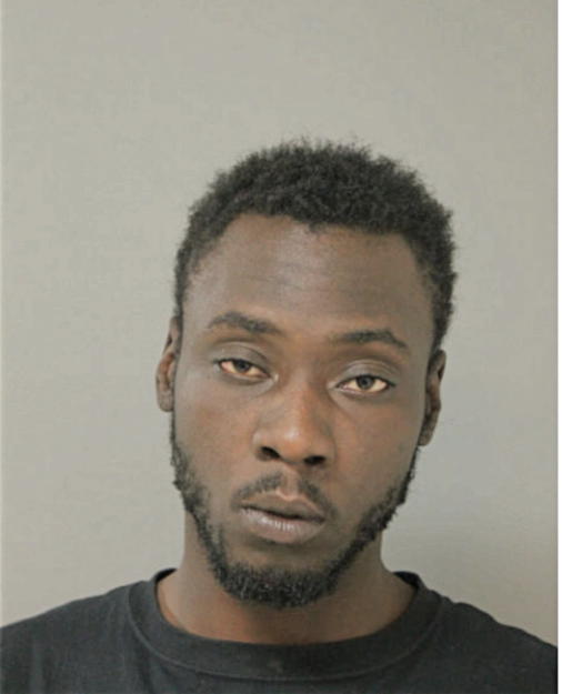MAURICE L WHITE, Cook County, Illinois